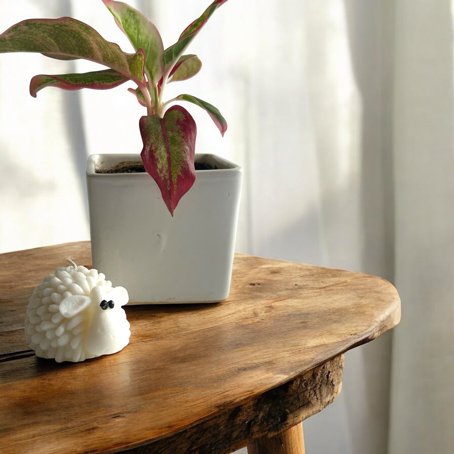 Single Sheep Candle (White/Green)