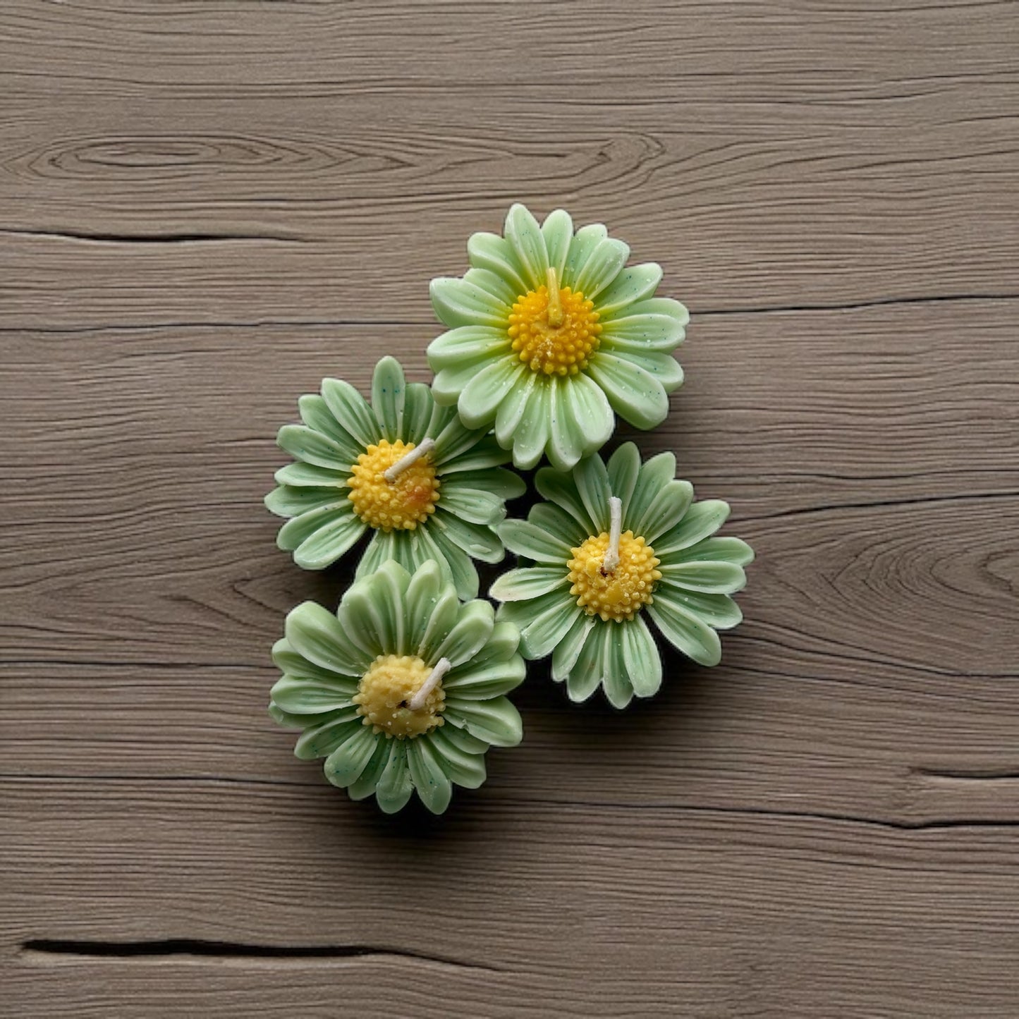 Floating Daisies (Set of 2)