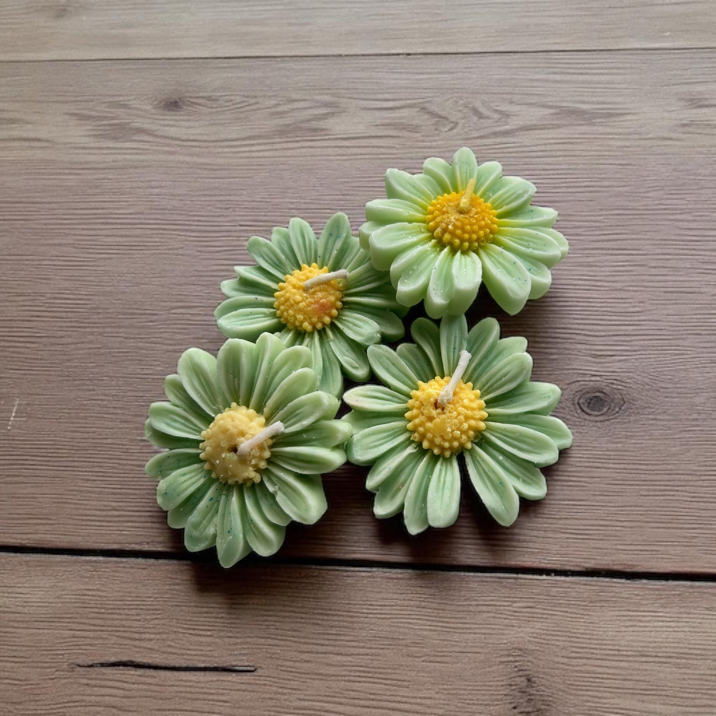 Floating Daisies (Set of 2)