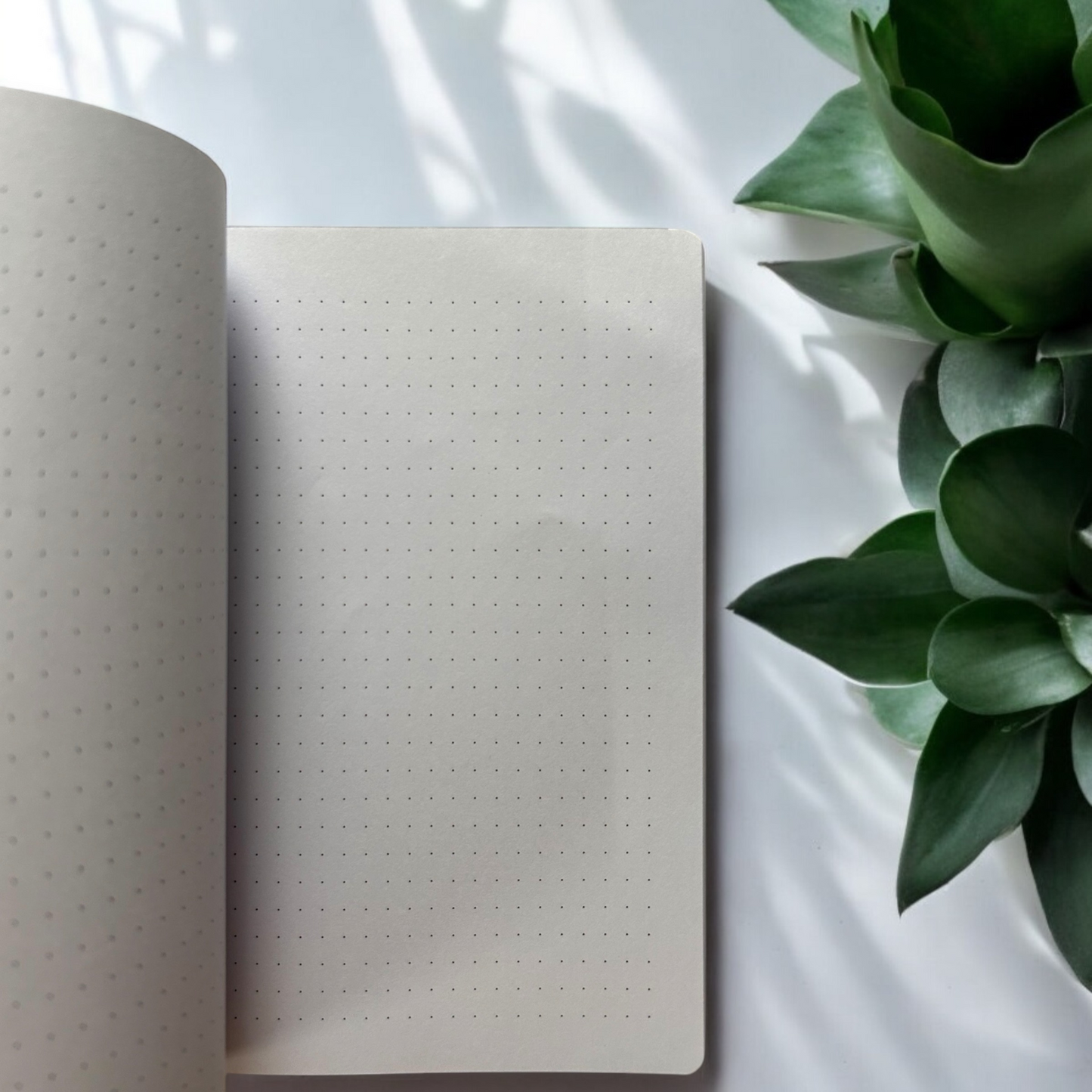 Manifesting (But With Backup)