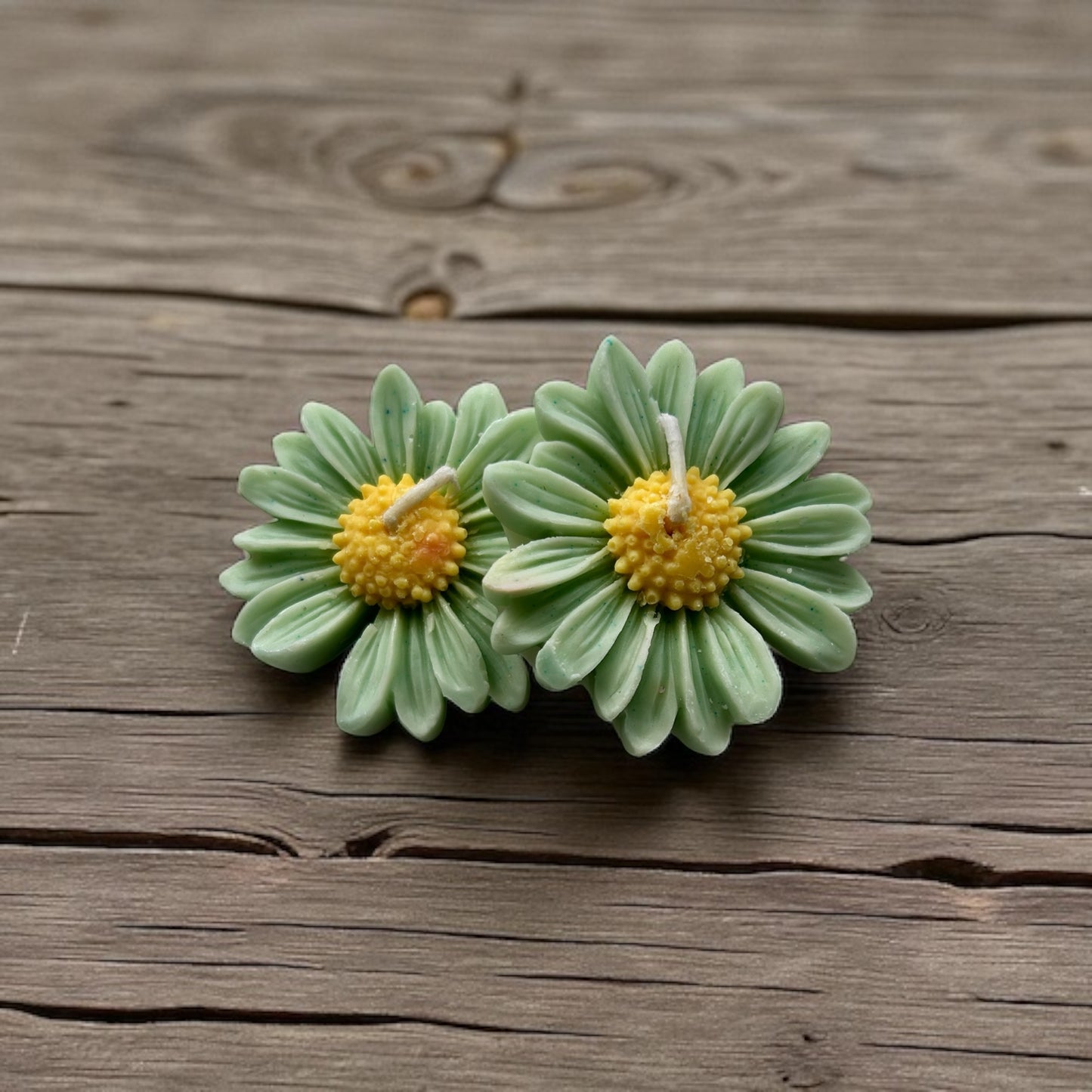 Floating Daisies (Set of 2)