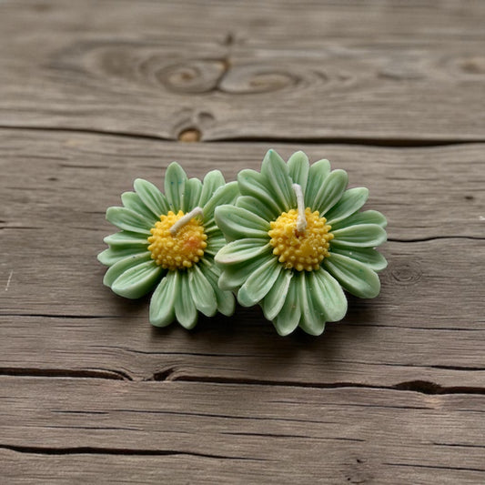 Floating Daisies (Set of 2)