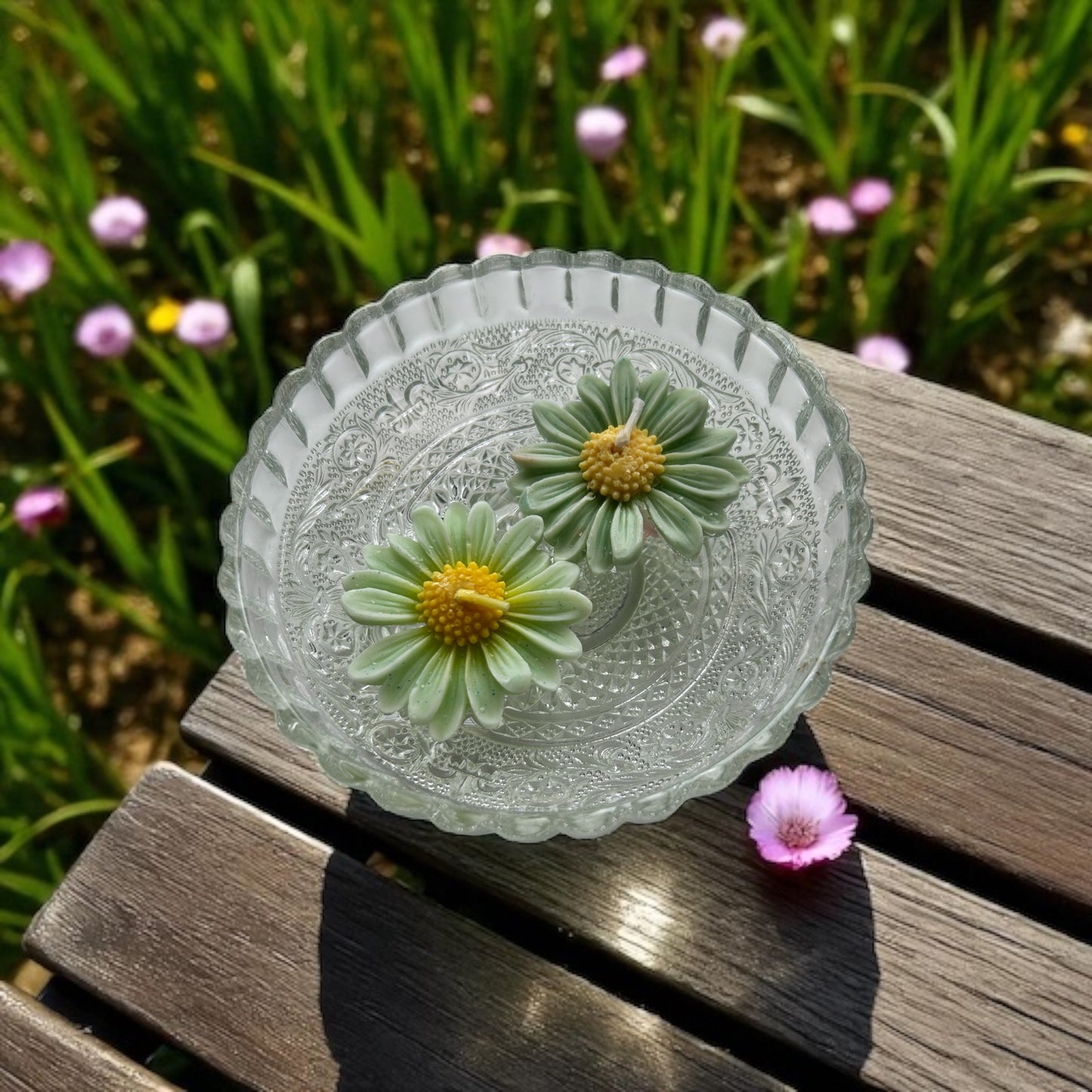 Floating Daisies (Set of 2)